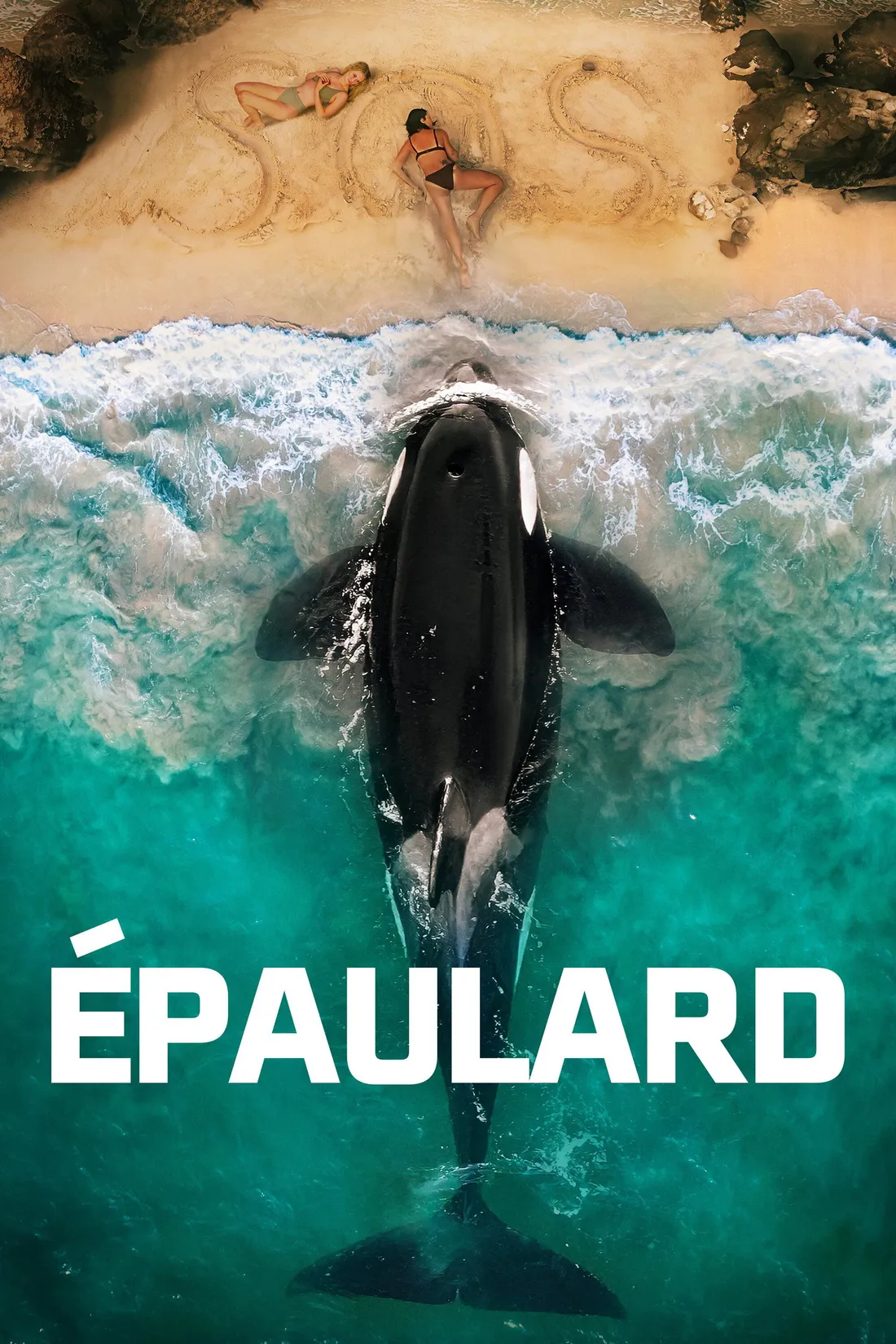 Killer Whale (2026)